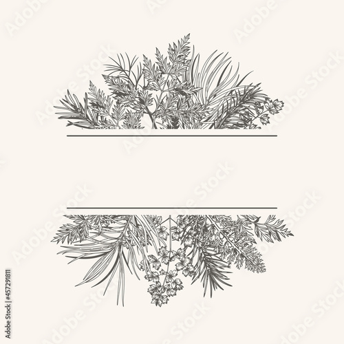 Сhristmas card with bouquet with fir and pine branches, fern and leaves. Botanical illustration. Vector holiday card. Engraving style. Black and White.