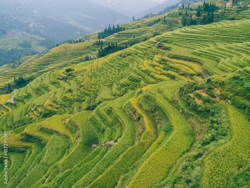 Beautiful terrace rice field with small houses in China