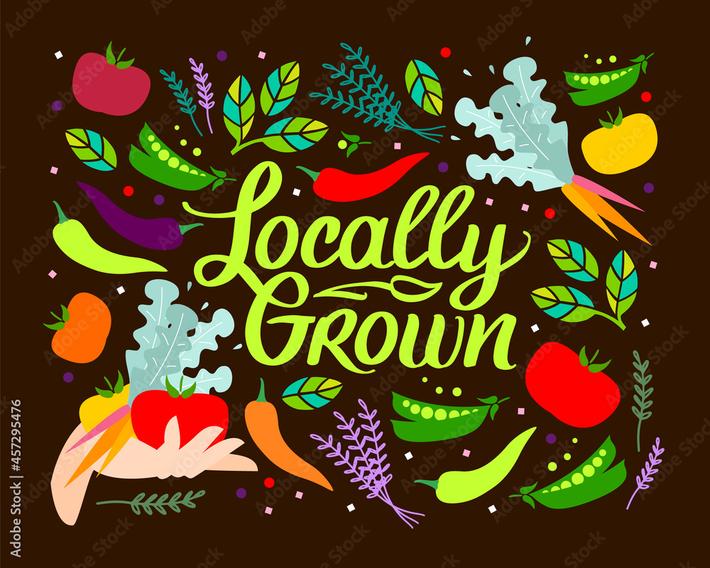 Locally grown. Vector illustration for locavore food. Vegetables with Lettering with handwright calligraphy. Tomatoes, green peas, peppers, carrots.