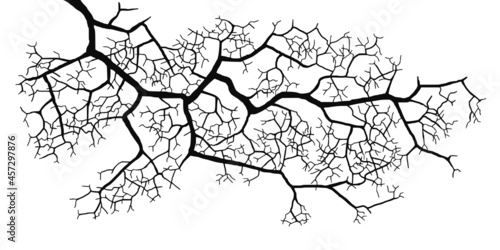 Vector drawing of a tree branch without leaves on a white background