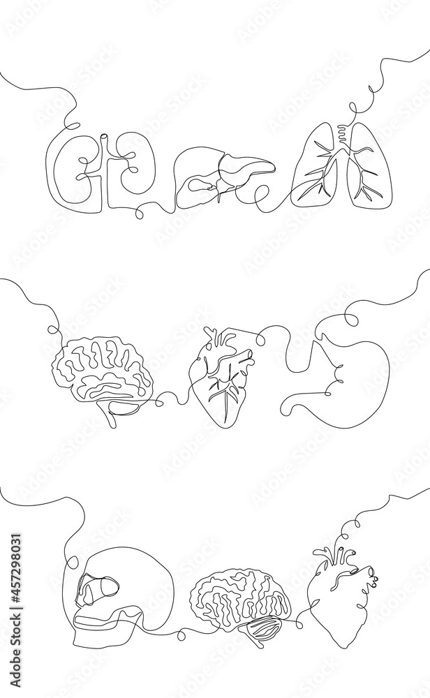 Human internal organs one line set art. Continuous line drawing of brain, cerebellum, heart, aorta, skull, stomach, kidneys, liver, gallbladder.