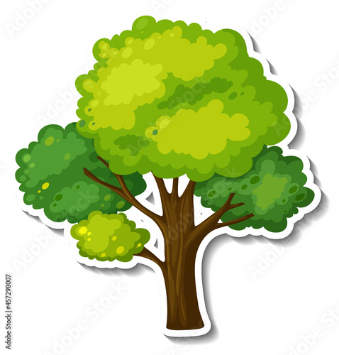A tree with green leaves sticker on white background