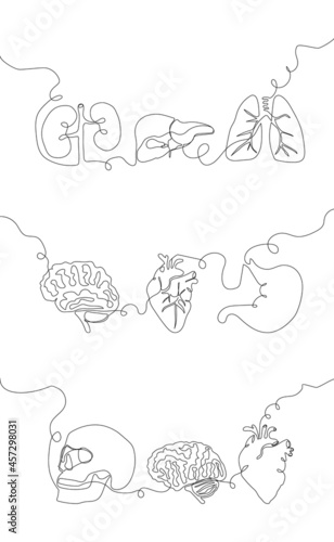 Human internal organs one line set art. Continuous line drawing of brain, cerebellum, heart, aorta, skull, stomach, kidneys, liver, gallbladder.