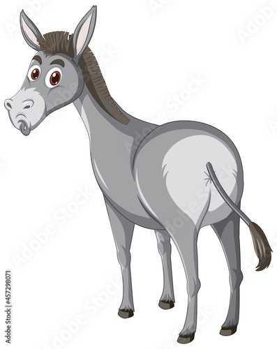 Donkey animal cartoon character
