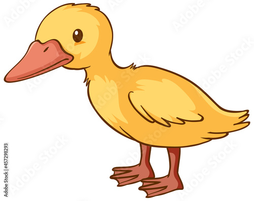Little duck cartoon on white background