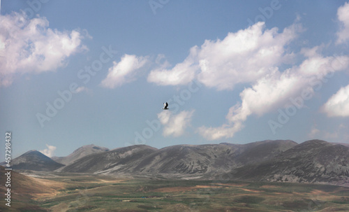 Paragliding in the mountains. Flying Bird over the mountains