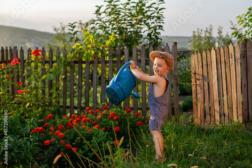 child watering flowers. watering flowers, person watering flowers