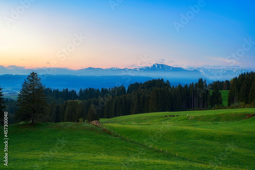 Typical Allg  u landscape before sunset. Pastures and forest under colorful sky. Snowy mountains in the background. Allgau Alps  Bavaria  Germany