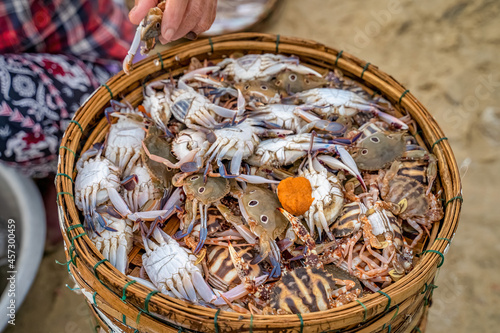 Spidercrab or Sentinel crab at Tam Tien fish market, Quang Nam, Vietnam photo