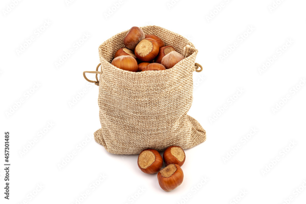 fresh hazelnuts in a canvas bag on white background fresh hazelnuts in a canvas bag on white background