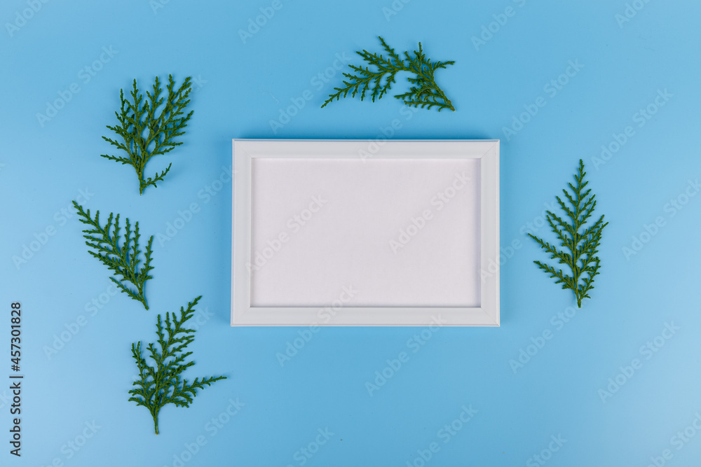 Blank white photo frame and green thuja tree branch on blue background. Blank white photo frame and green thuja tree branch on blue background.