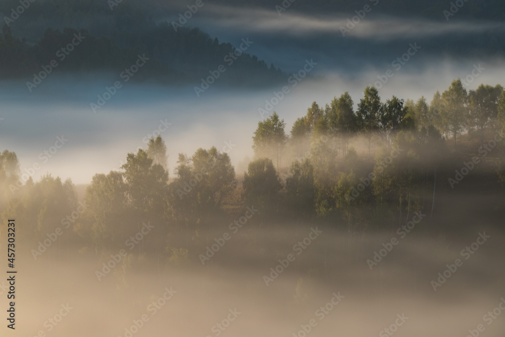 Autumn landscape of foggy forest
