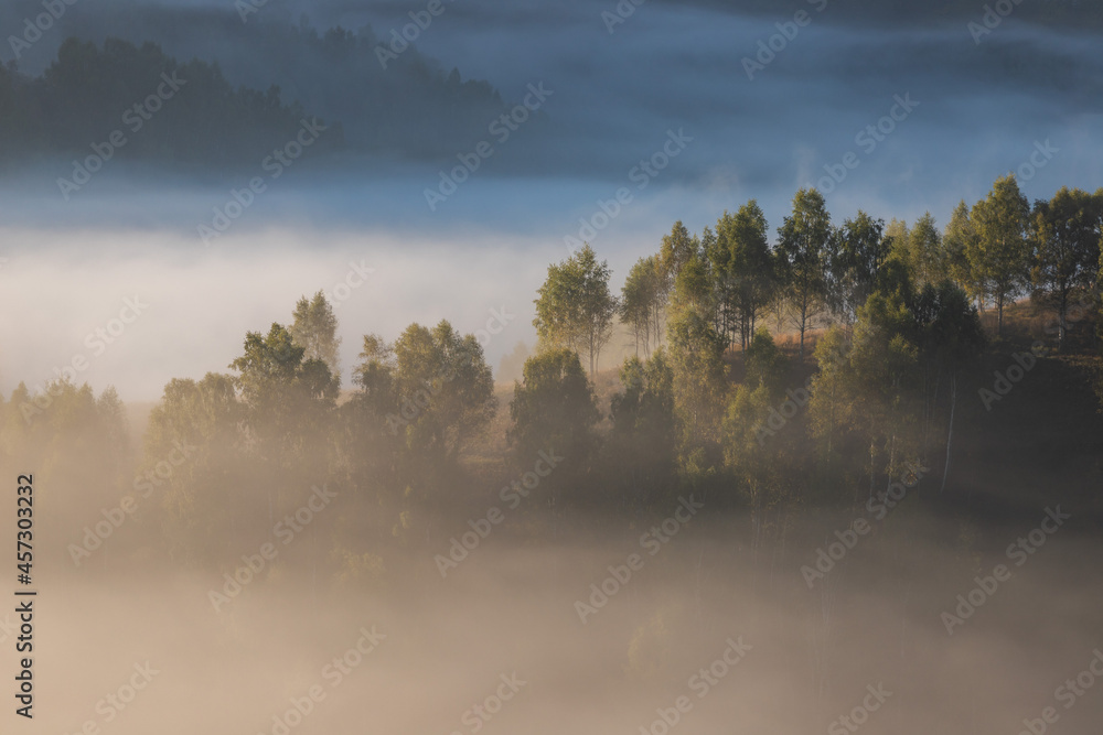 Naklejka premium Autumn landscape of foggy forest