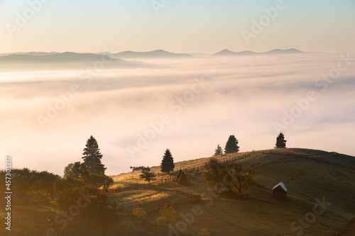 Mountain landscape with morning fog, at the forest edge, in Bukovina, Romania
