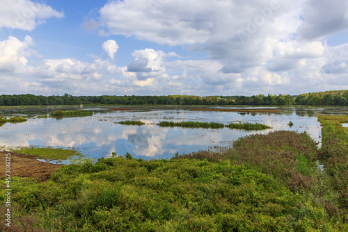 A pond with reed islands in the reserve Het Vinne near Zoutleeuw photo
