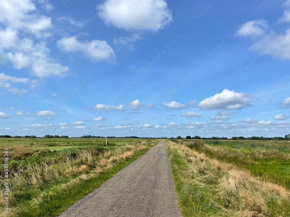 Road through farmland in Friesland
