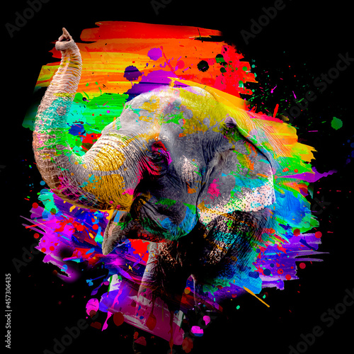 Photography elephant with background