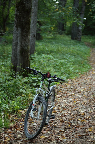Modern mountain bike on a forest path. Bicycle surrounded by trees and bushes. High quality photo