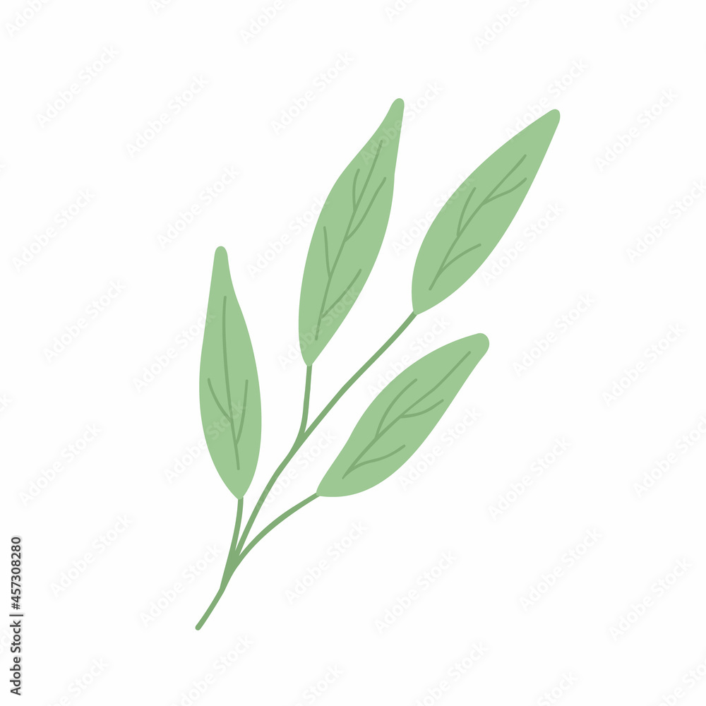 Green leaves simple vector minimalist concept flat style illustration, multicolored hand drawn natural floral elements set, element for invitations, greeting cards, booklet, autumn holiday decor