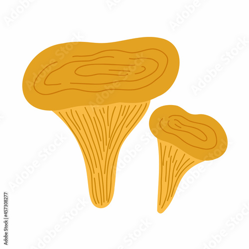 Chanterelle small yellow edible mushroom growing in forests, simple vector illustration, Halloween and autumn holidays simple minimalist hand drawn doodle style drawing