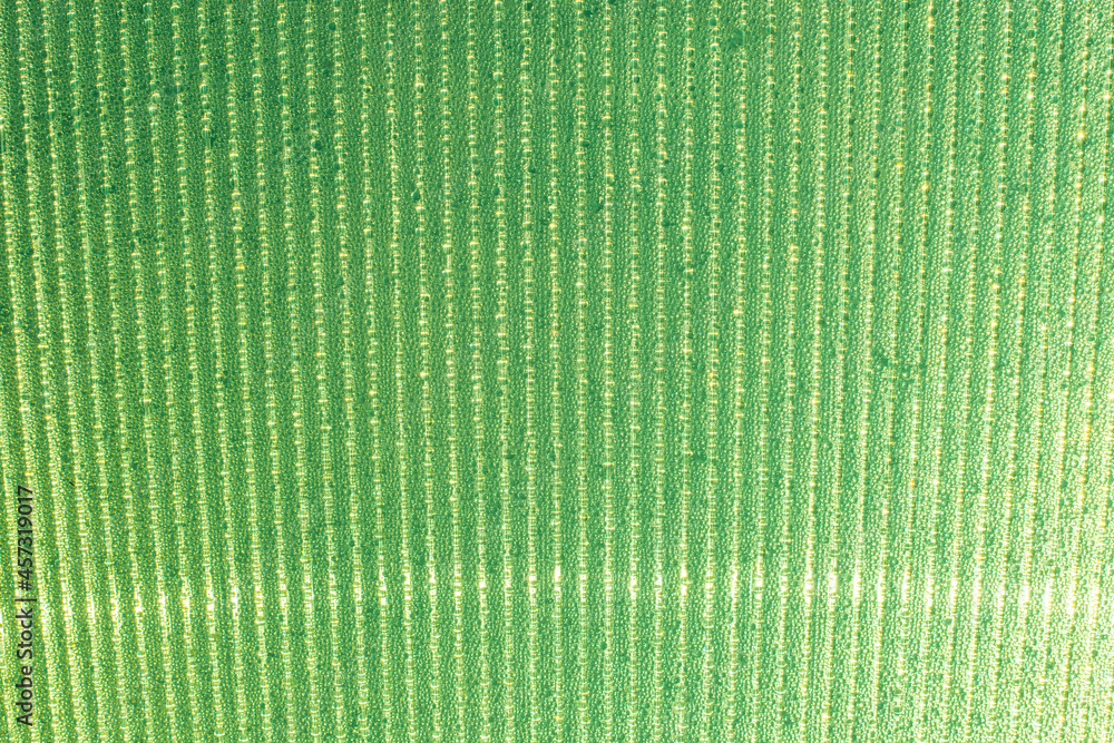 Fototapeta premium green sparkling drops on the stripes light background