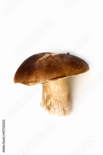 White mushroom on a white background. Edible mushrooms. Isolate. Soft focus.