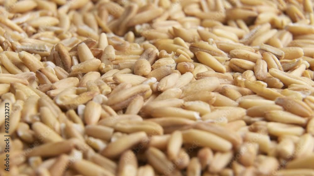 Oat grains close up slowly rotate Oat grains close up slowly rotate