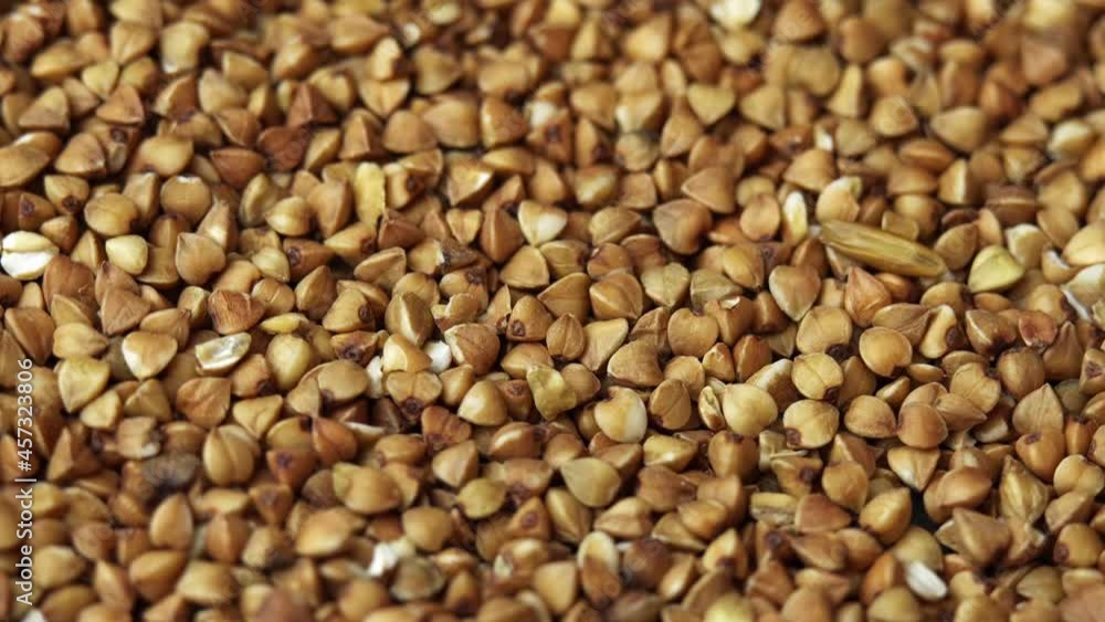 Buckwheat groats close-up rotating as a restaurant backdrop, common buckwheat is seeds Fagopyrum tataricum Buckwheat groats close-up rotating as a restaurant backdrop, common buckwheat is seeds Fagopyrum tataricum