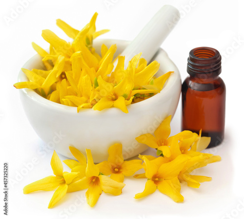 Forsythia with essential oil photo