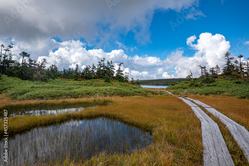 八幡平の湿原 photo