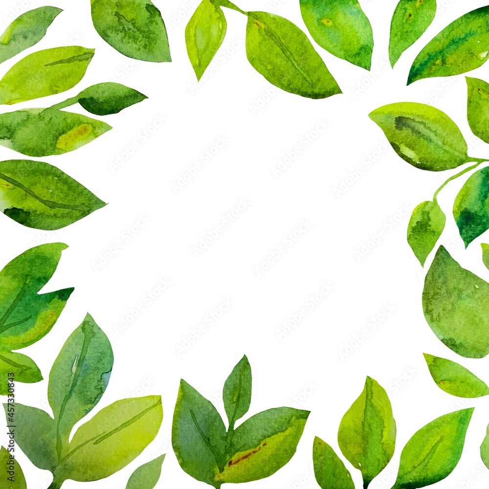 Cornice botanica acquerello Cornice botanica acquerello