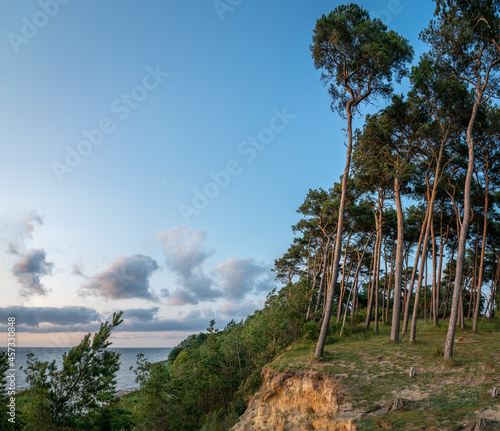 Summerimression at the baltic sea photo