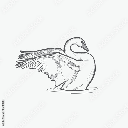 Vintage style swan vector illustration