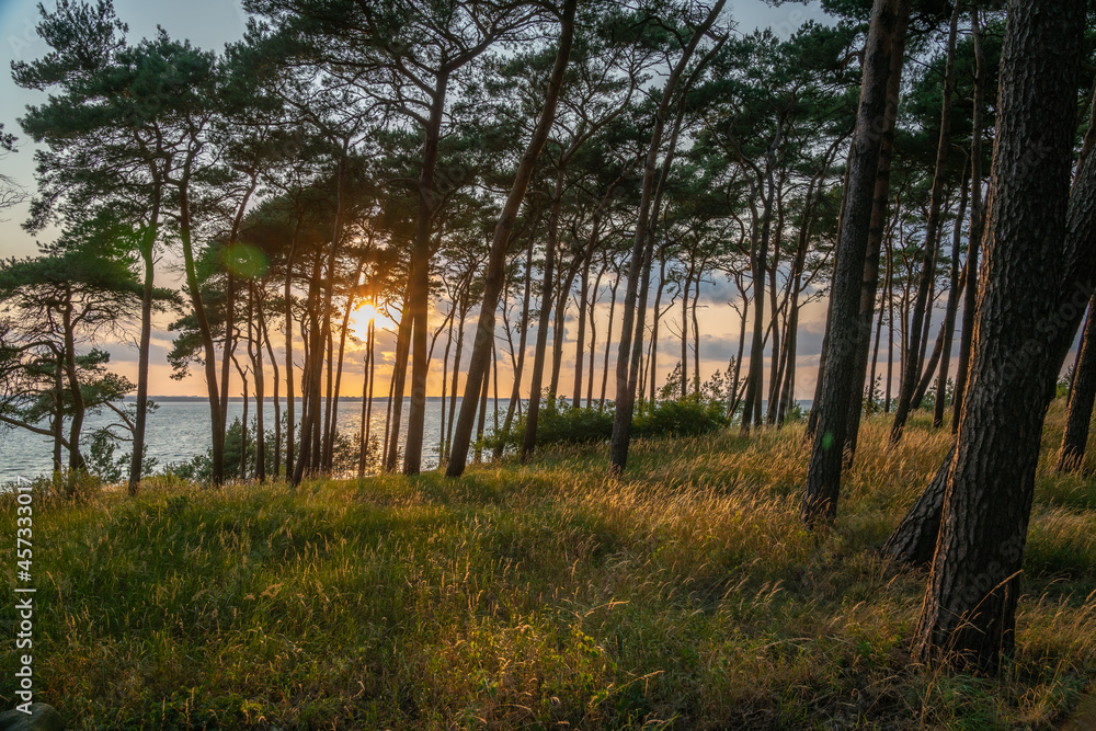 Summerimression at the baltic sea Summerimression at the baltic sea
