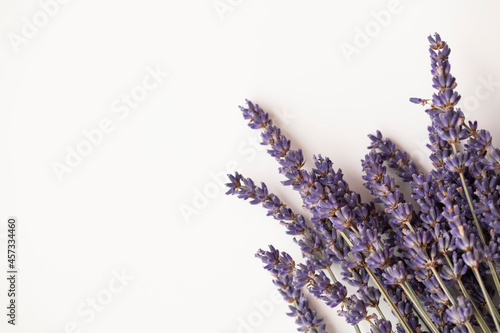 Dried purple lavender flowers on a plain white background