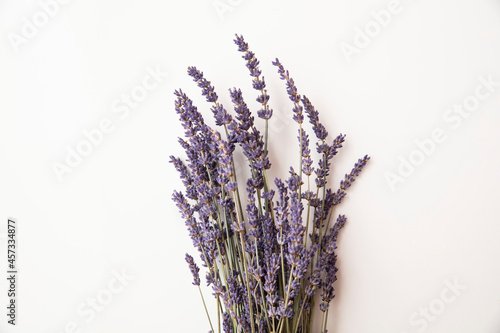 Dried purple lavender flowers on a plain white background