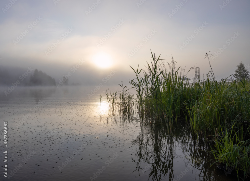 Early morning. Fog on the river. Beautiful sunrise in the summer by the river.River on an early summer morning at dawn. Early morning. Fog on the river. Beautiful sunrise in the summer by the river.River on an early summer morning at dawn.