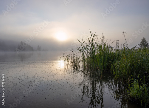 Fototapeta Naklejka Na Ścianę i Meble -  Early morning. Fog on the river. Beautiful sunrise in the summer by the river.River on an early summer morning at dawn.