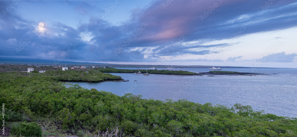 View of Puerto Ayora harbour from one of the overlooks located a View of Puerto Ayora harbour from one of the overlooks located a