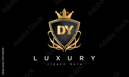 DY creative luxury letter logo