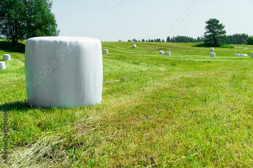 Agricultural landscape. Straw packages on field. Cereal bale of hay wrapped in plastic white foil. Agricultural background. Close-up of bales of rolled hay. Haymaking
