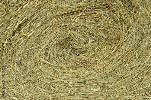 a fresh bale of hay as a background 