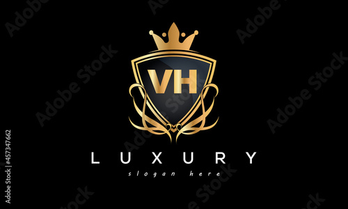 VH creative luxury letter logo