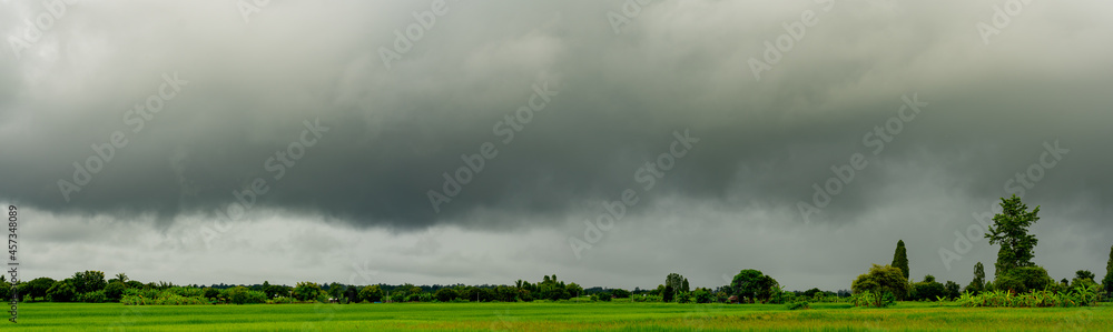 panorama heavy clouds on sky over rice field in rural