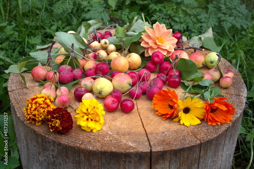 Autumn still life with apples ranet and flowers on a stump photo