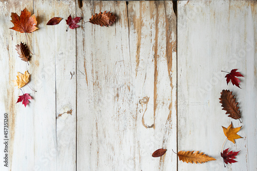 Autumn rustic simple frame on a rustic wood paneling with copyspace in the middle