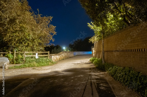 A moody night scene of a country lane lit up with a street light on a summers night.