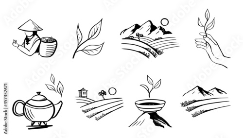 Collection of tea icons, tea leaves in hand and a cup with green tea in the mountains. Large set of signs for packaging or website