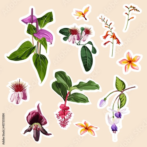 Set of tropical orchids, Medinilla, plumeria exotic flowers elements. Set of stickers, pins, patches and handwritten notes collection stikers kit.