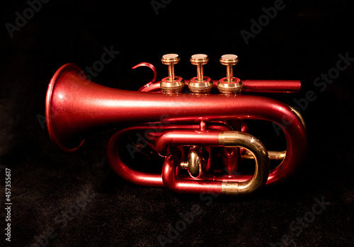 red pocket trumpet isolated on black
